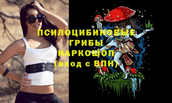 молекула духа Армянск